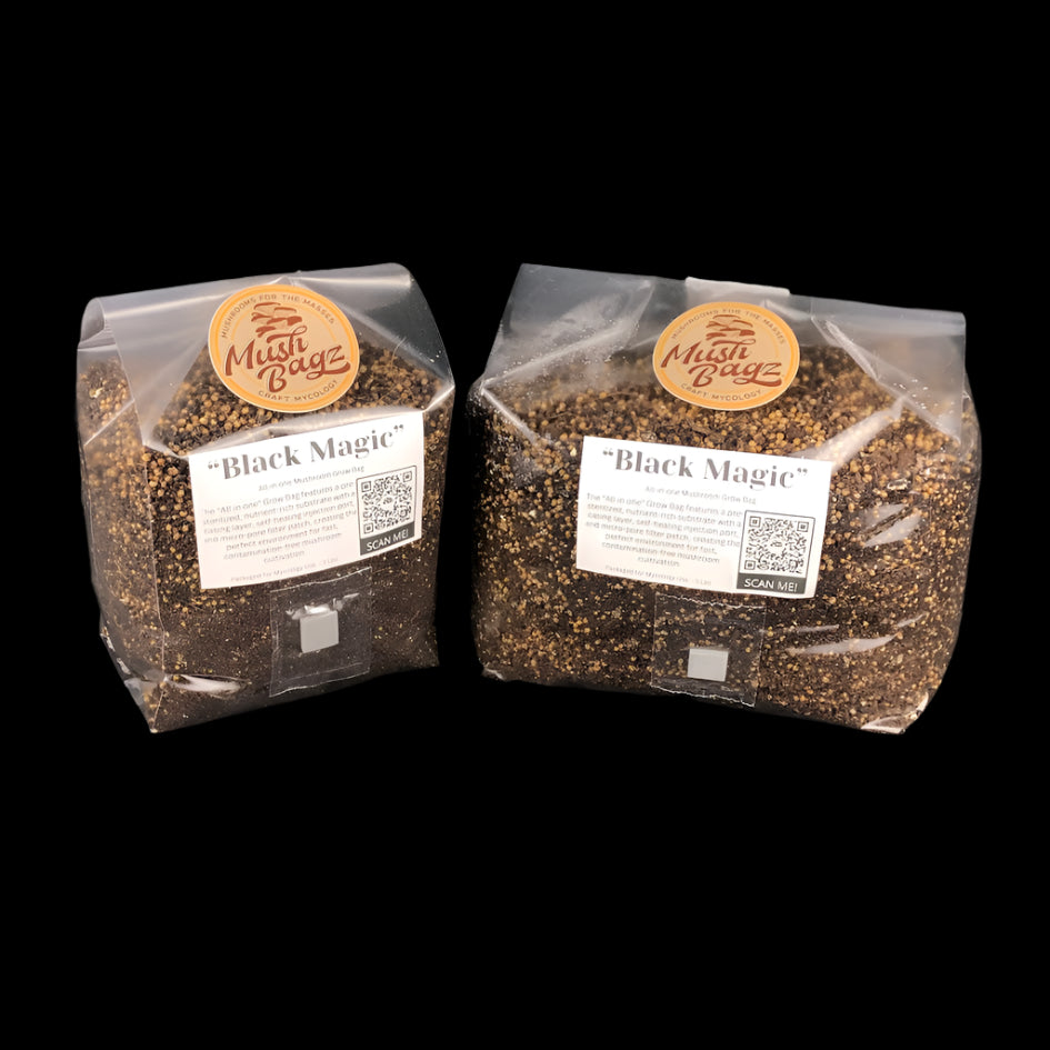 "Black Magic" All-in-one Mushroom Grow Bag