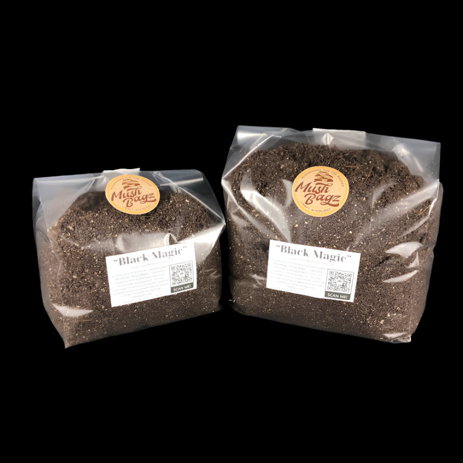 "Black Magic" Mushroom Substrate Bag For Dung Loving Mushrooms