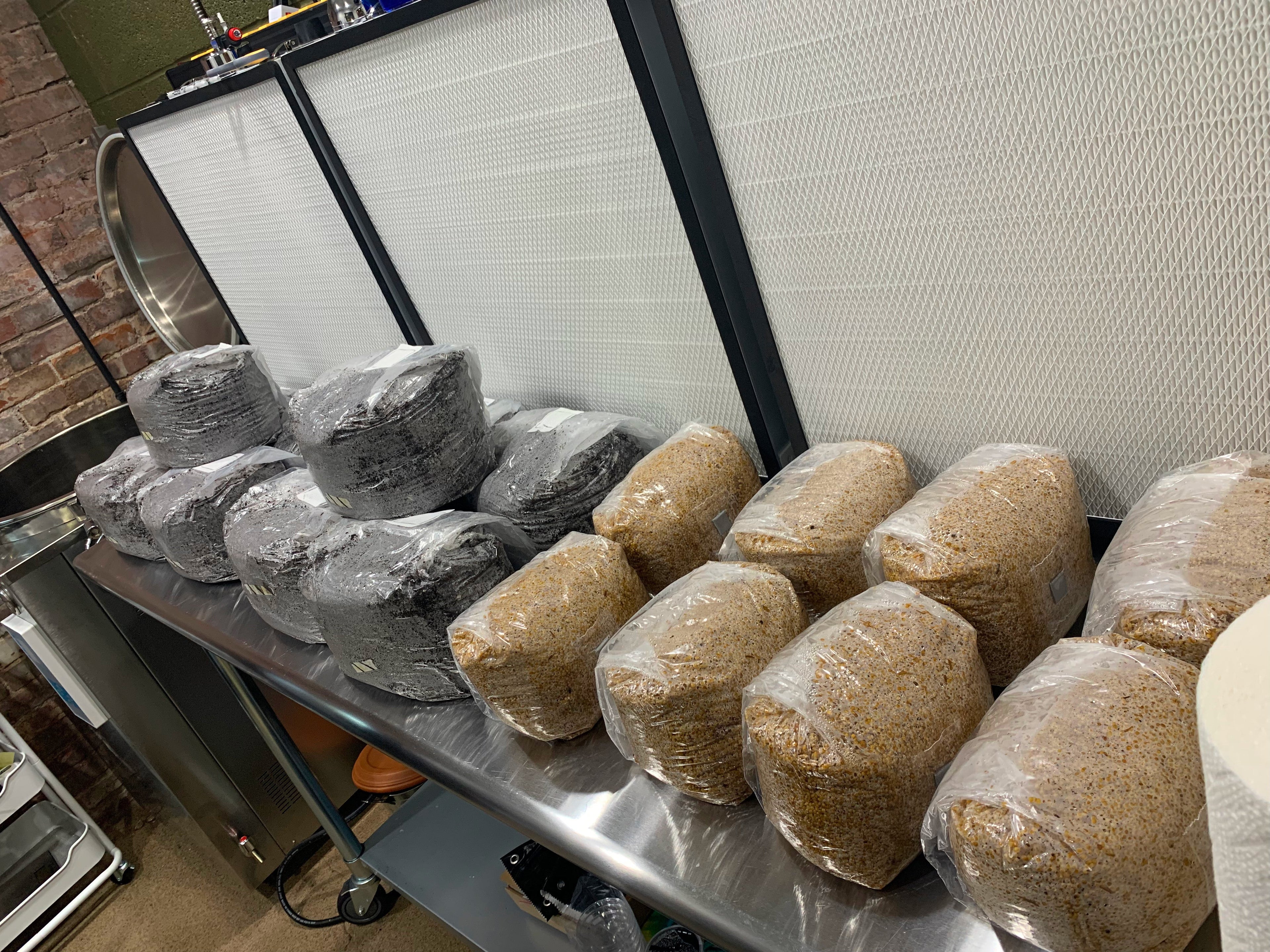 "Black Magic" Mushroom Substrate Bag For Dung Loving Mushrooms