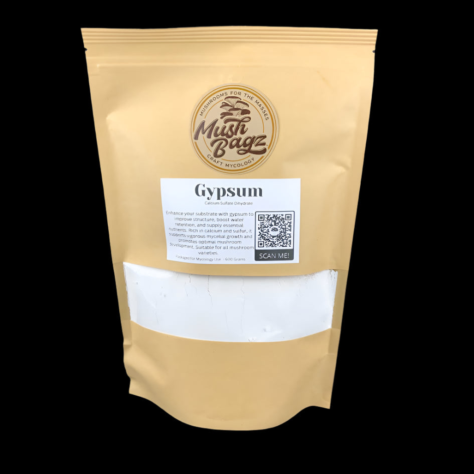Gypsum
