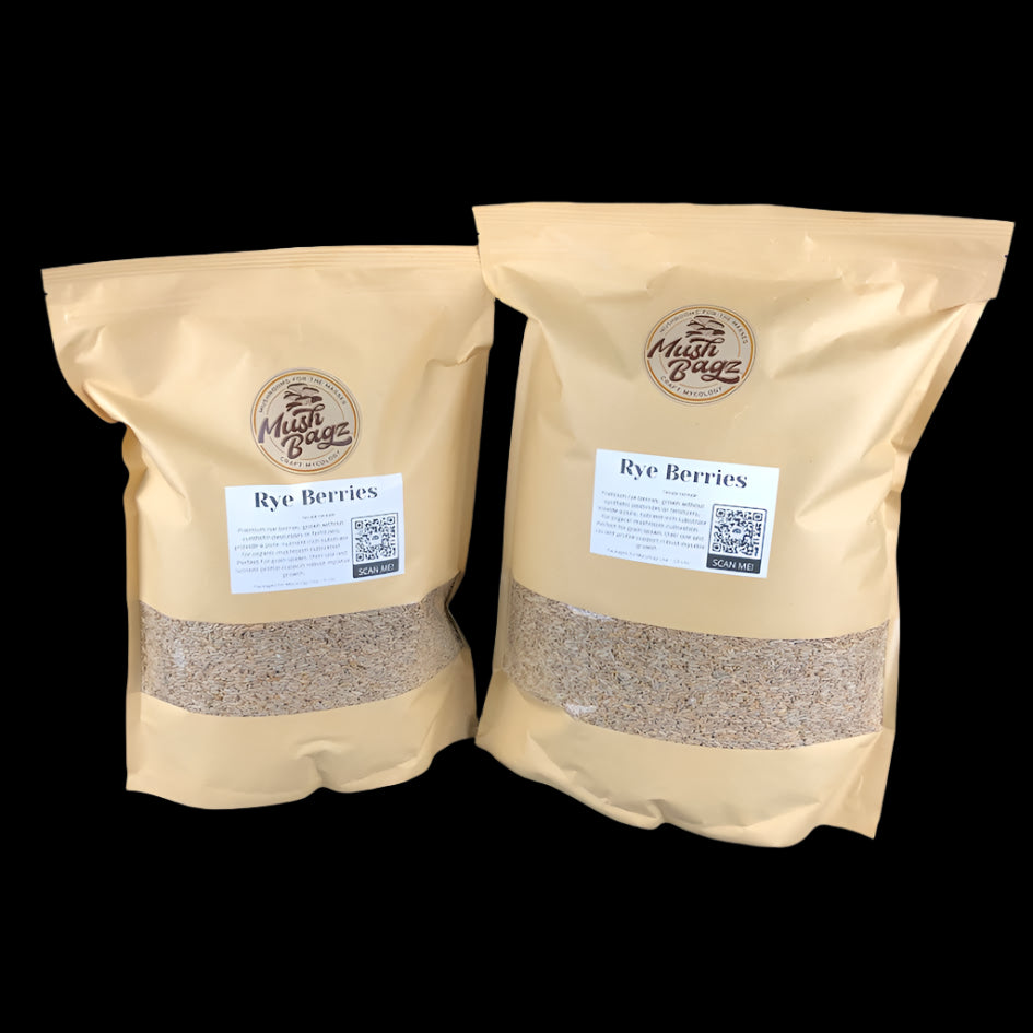 Rye Berries - Case of 4