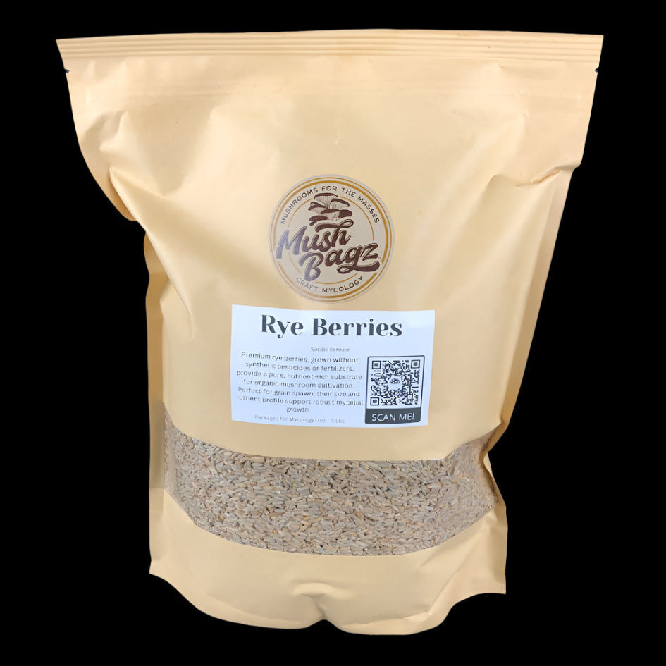 Rye Berries - Case of 4