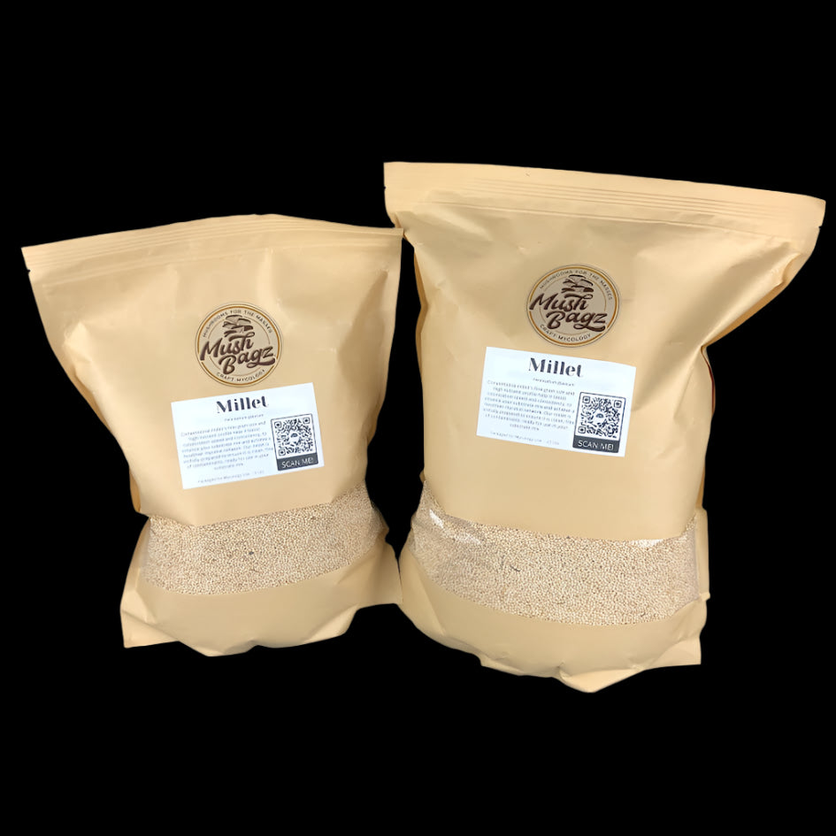 Millet - Conventional - Case of 4