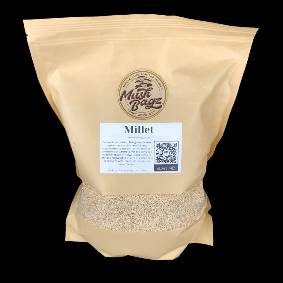 Millet - Conventional - Case of 4