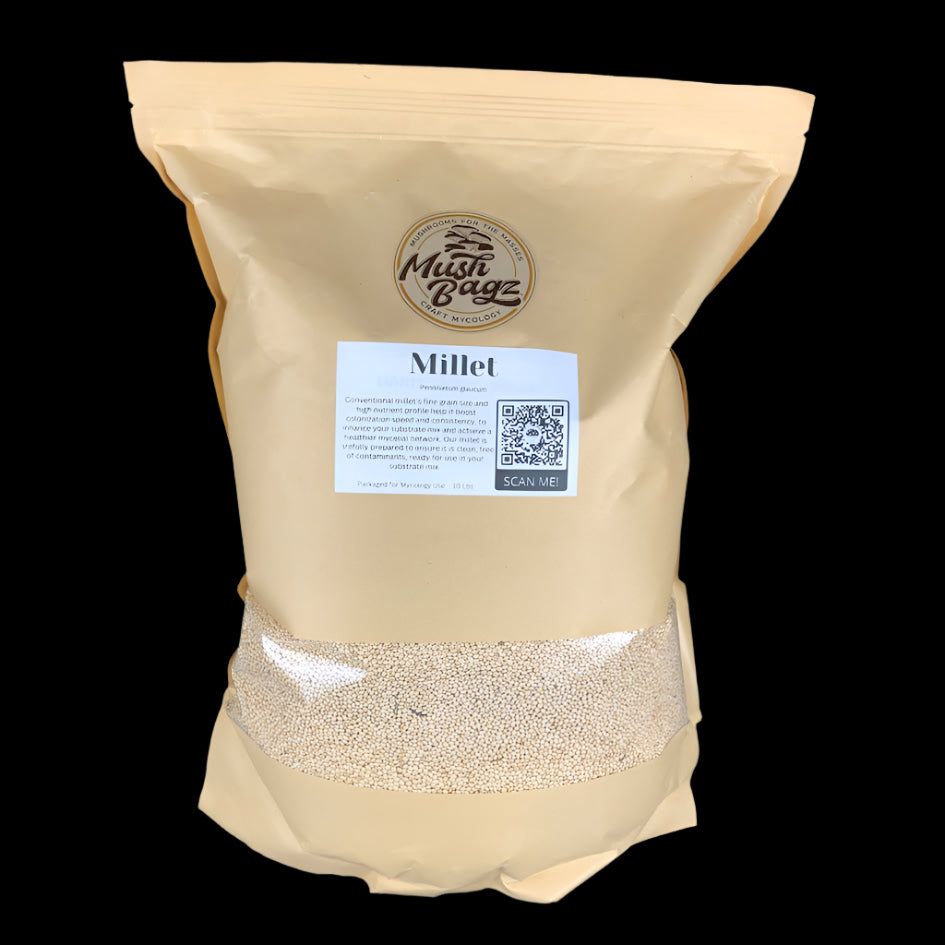 Millet - Conventional - Case of 4