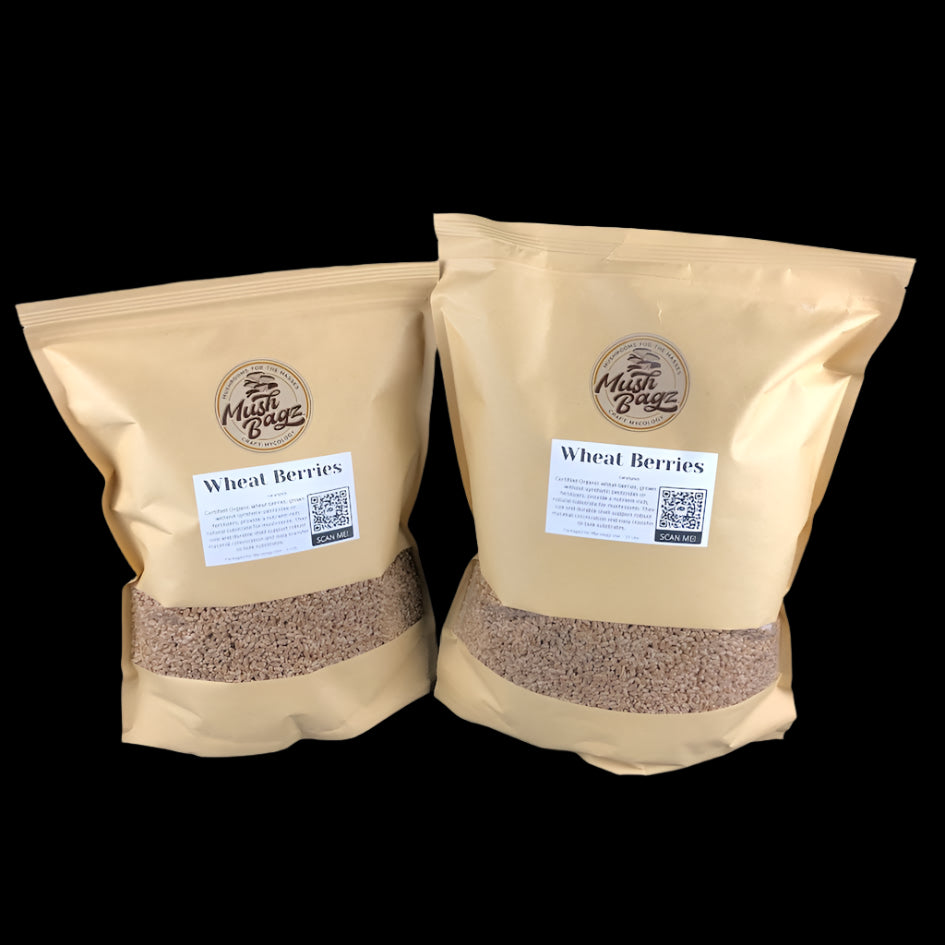 Wheat Berries