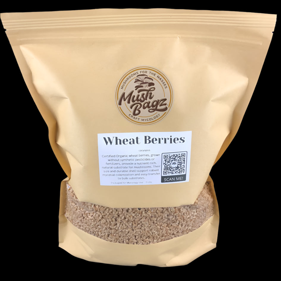 Wheat Berries