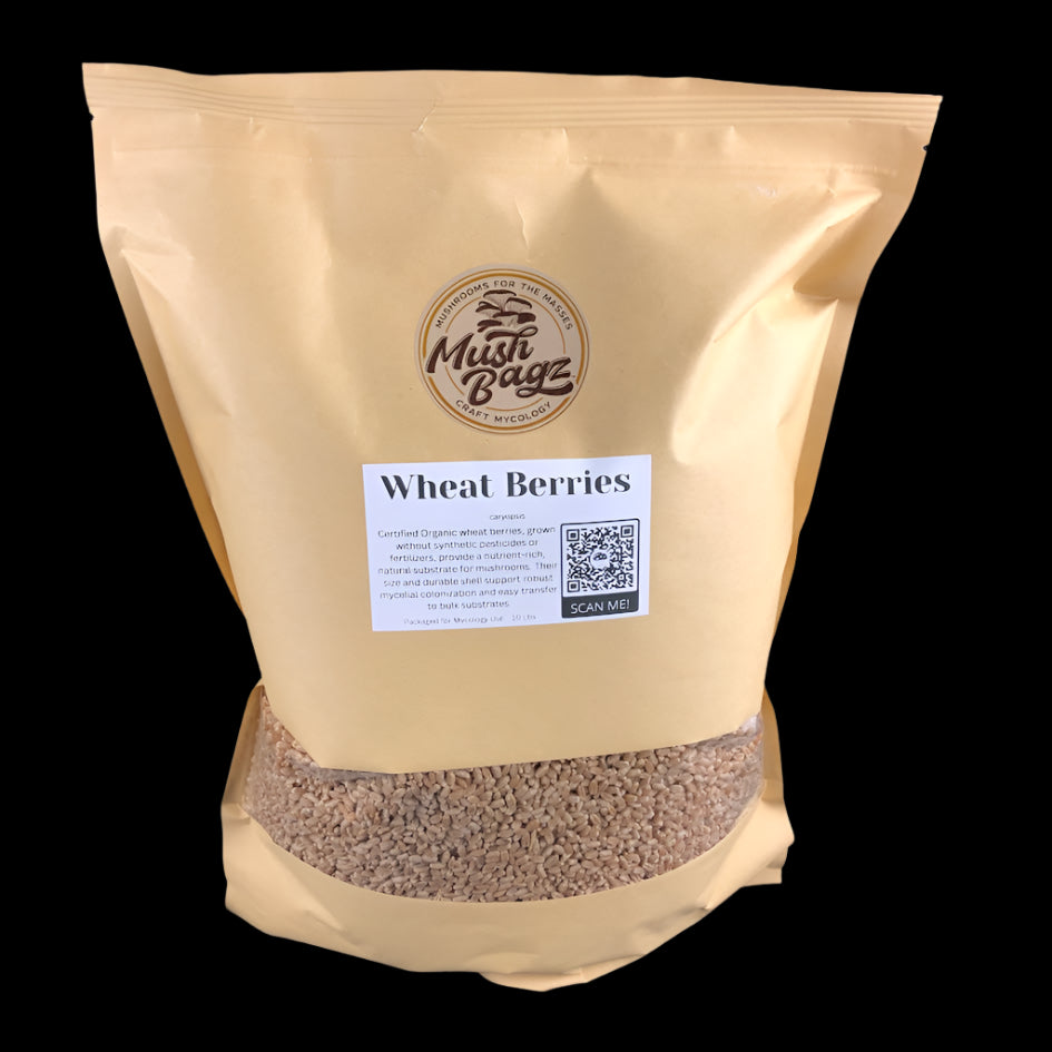 Wheat Berries