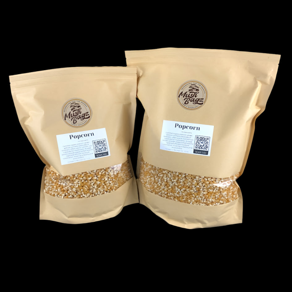 Popcorn - Case of 4