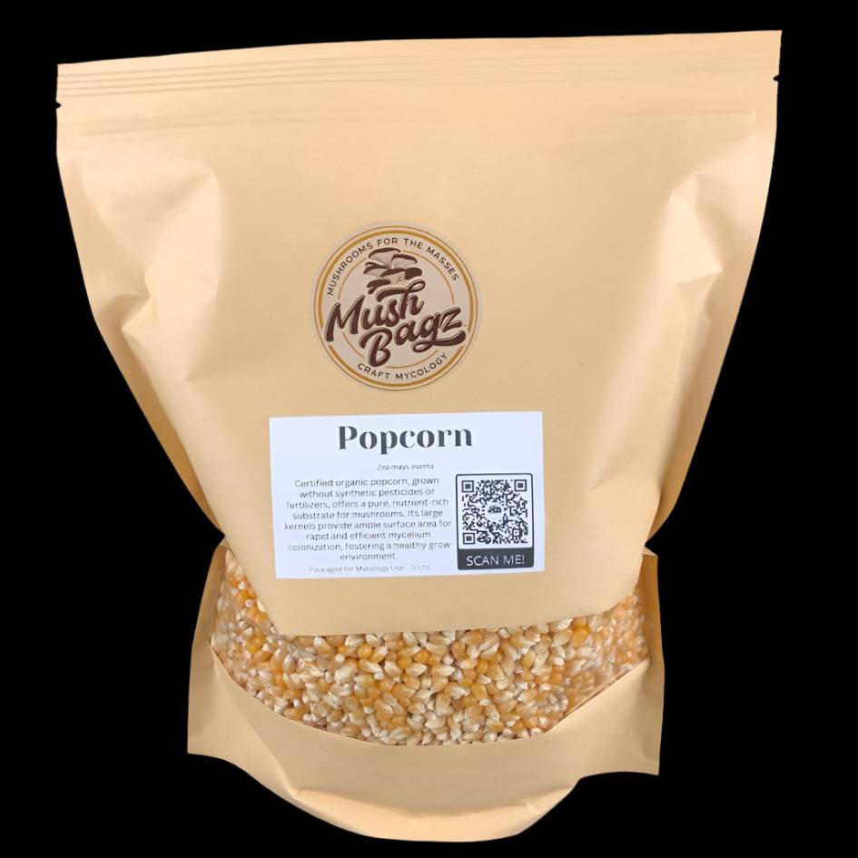Popcorn - Case of 4