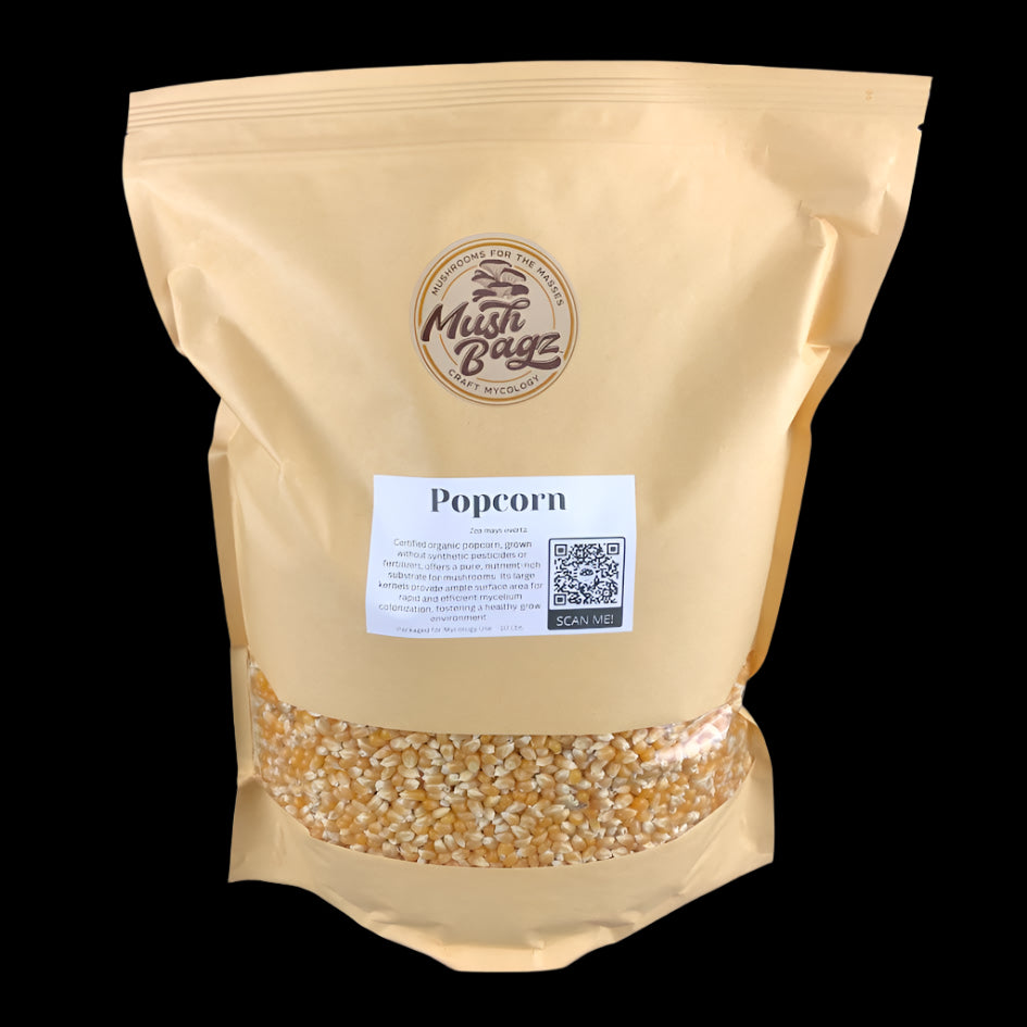 Popcorn - Case of 4