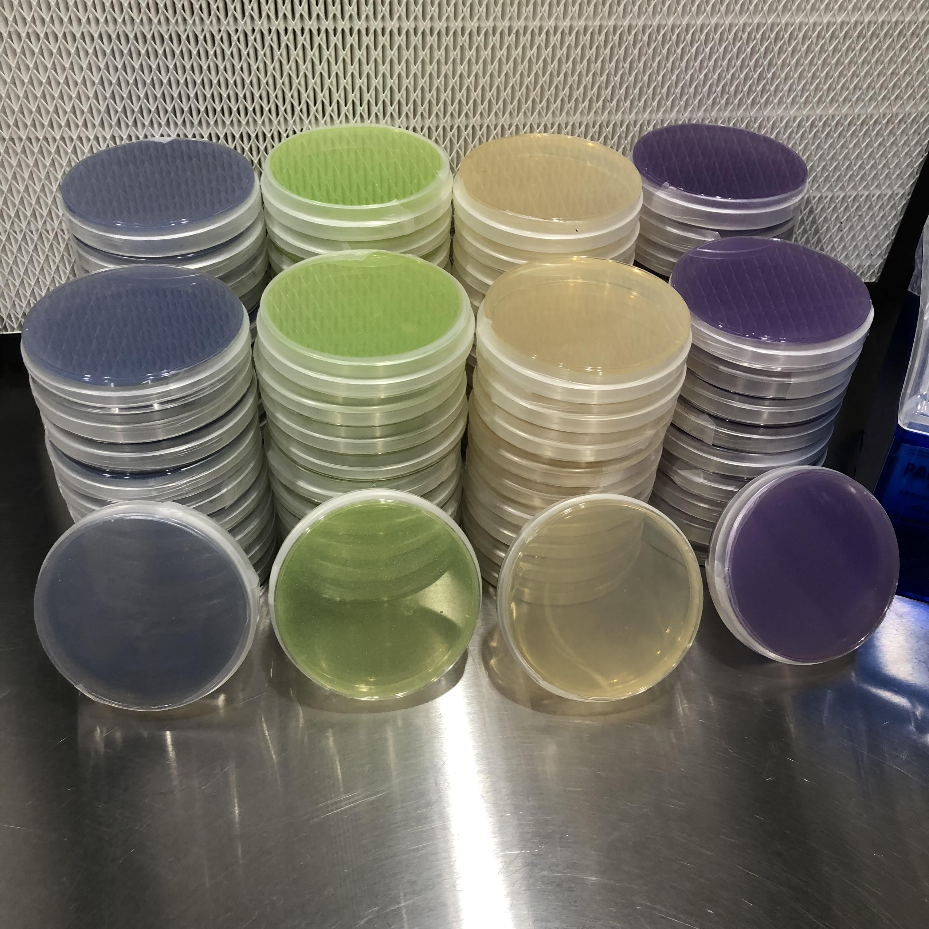 LMEA Color Variety Agar Plates