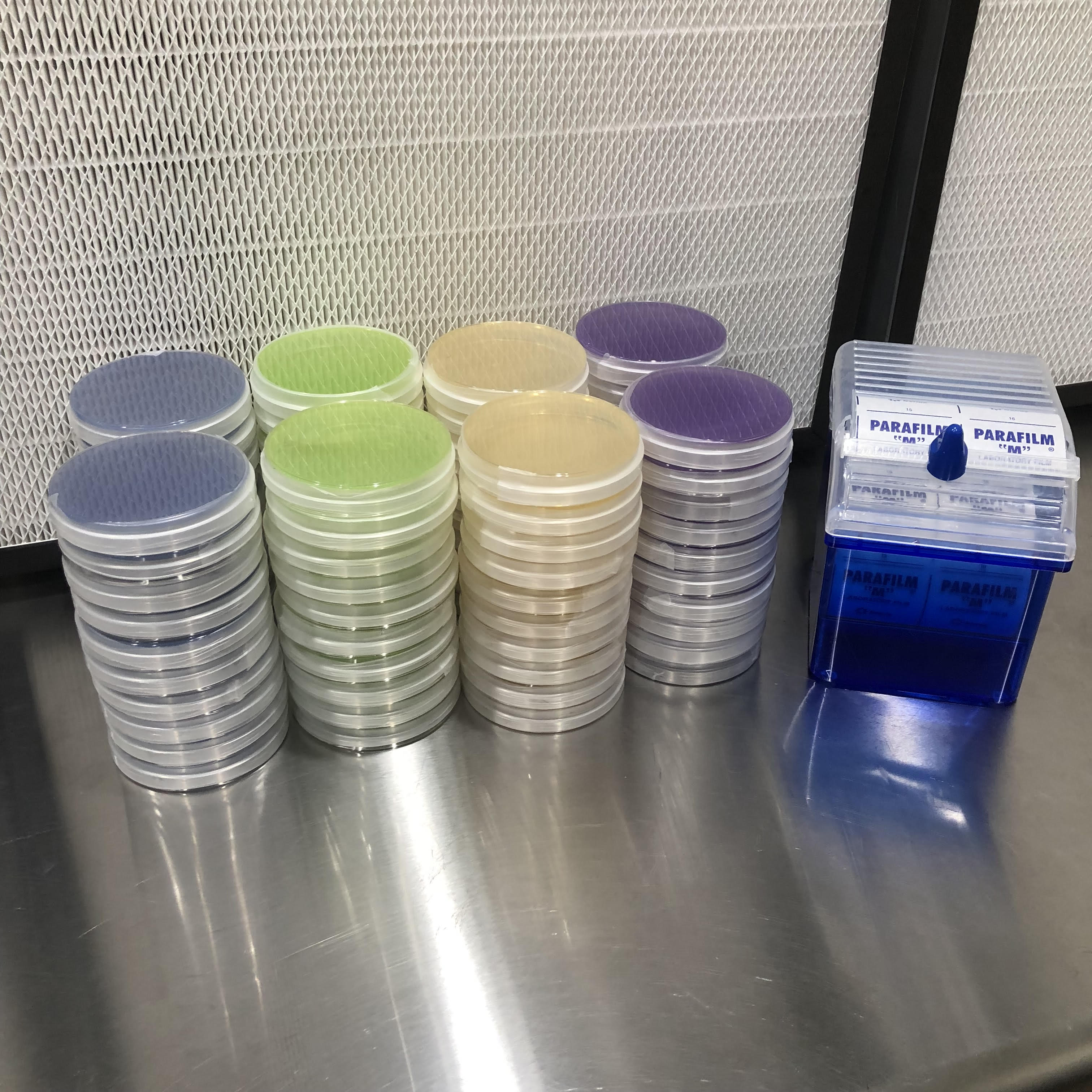 Agar Plates LMEA n Parafilm