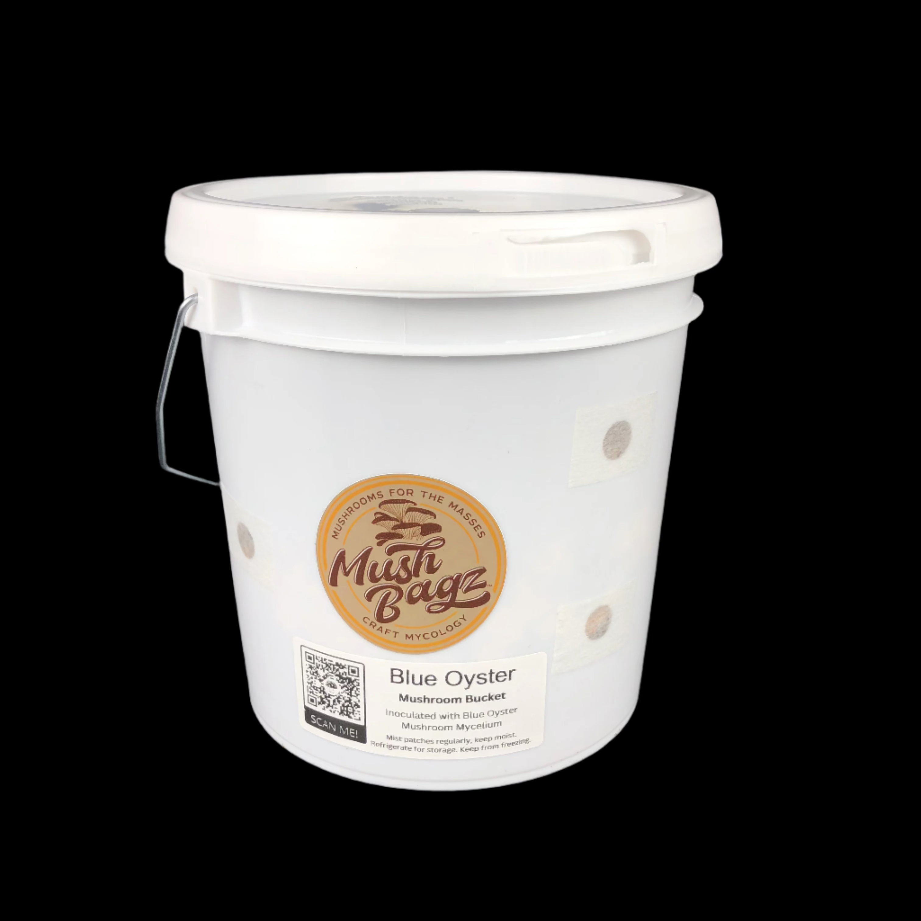 MushBagz Blue Oyster Bucket Kit