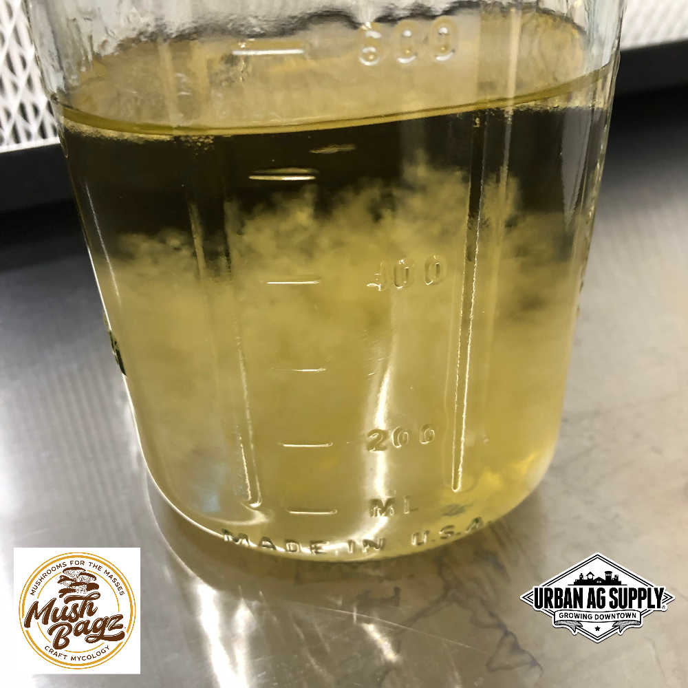 Live Liquid Cultures