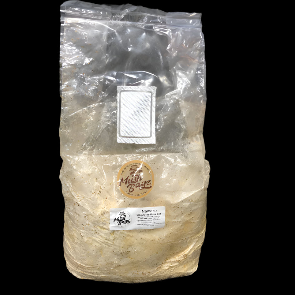ready-to-fruit-bag-10lb