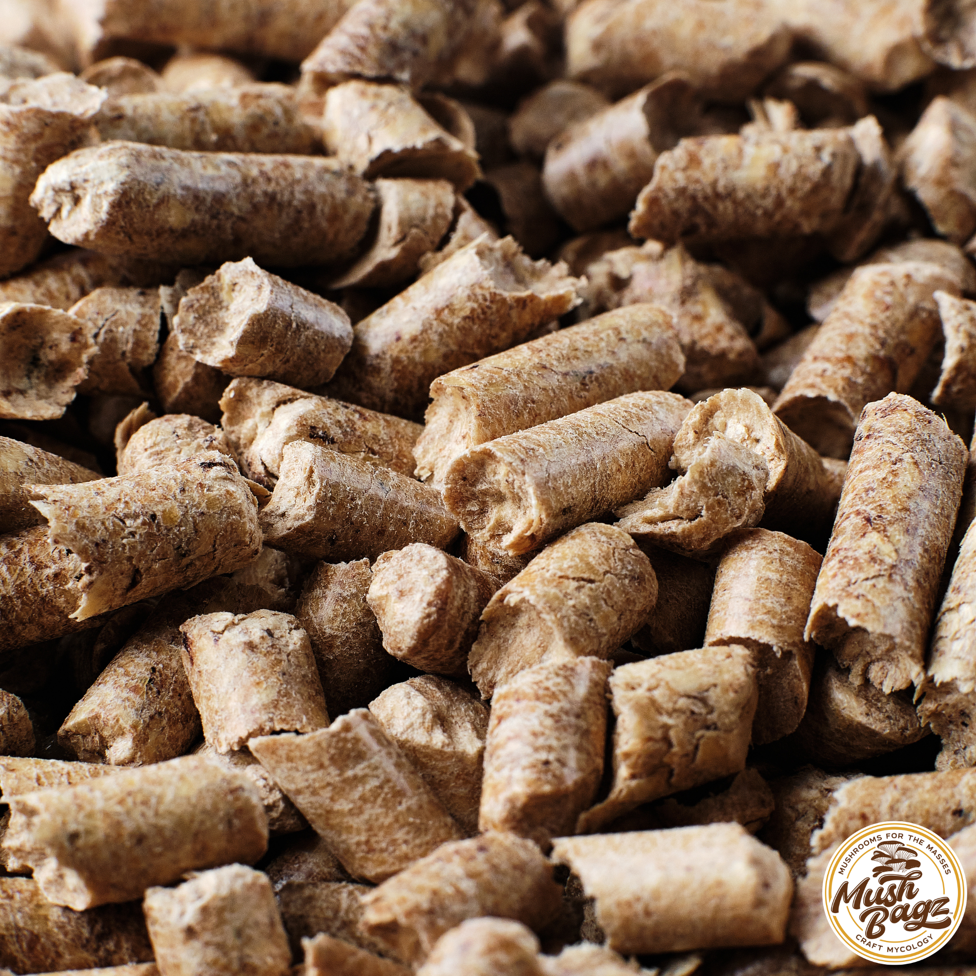 small yellowish brown smooth pellet