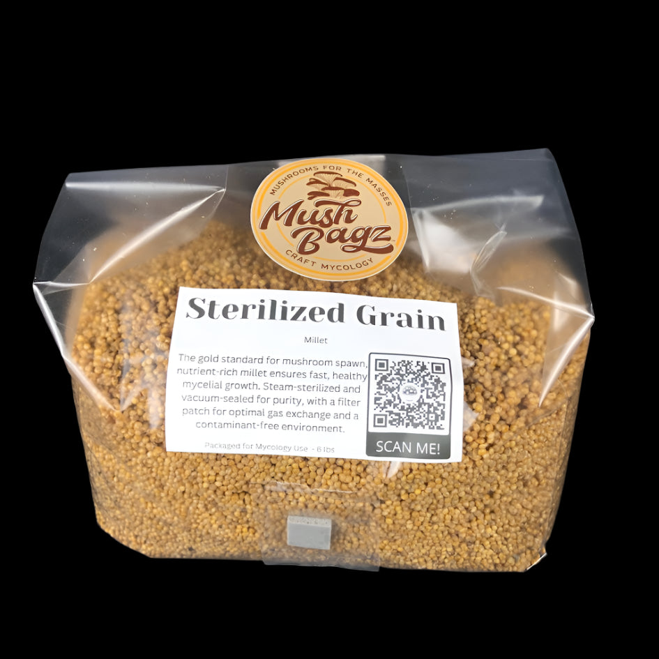 Sterilized Millet 6 Pound