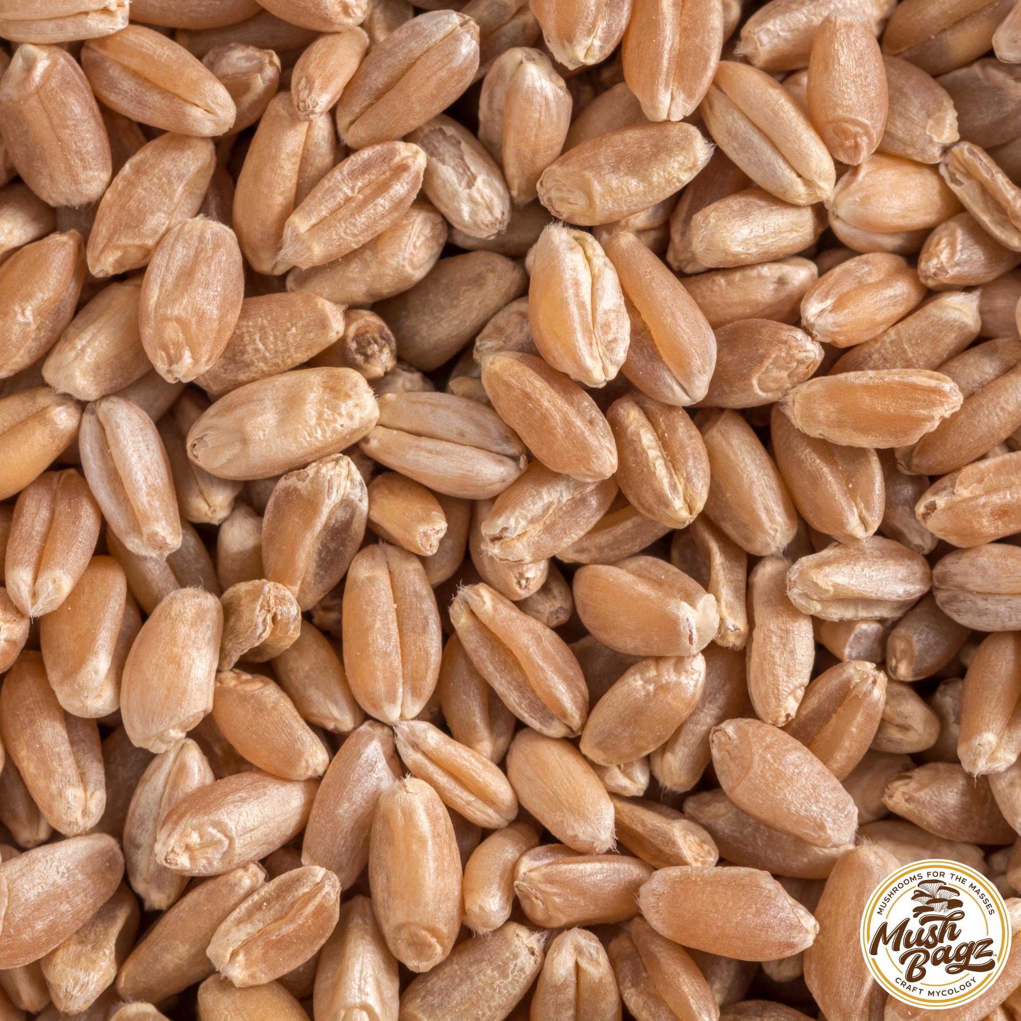 Natural Wheat Berries