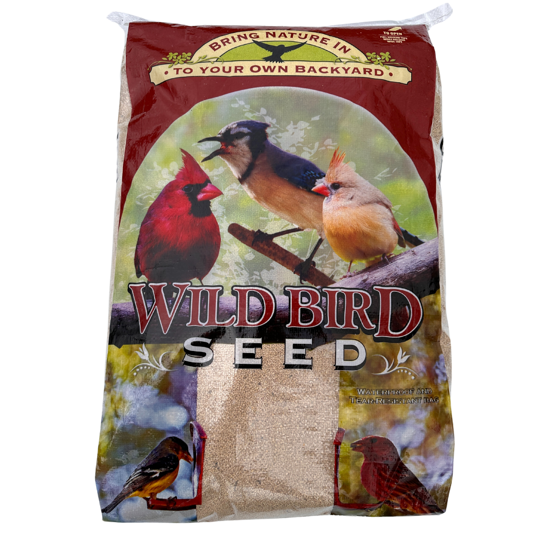 Millet - Conventional